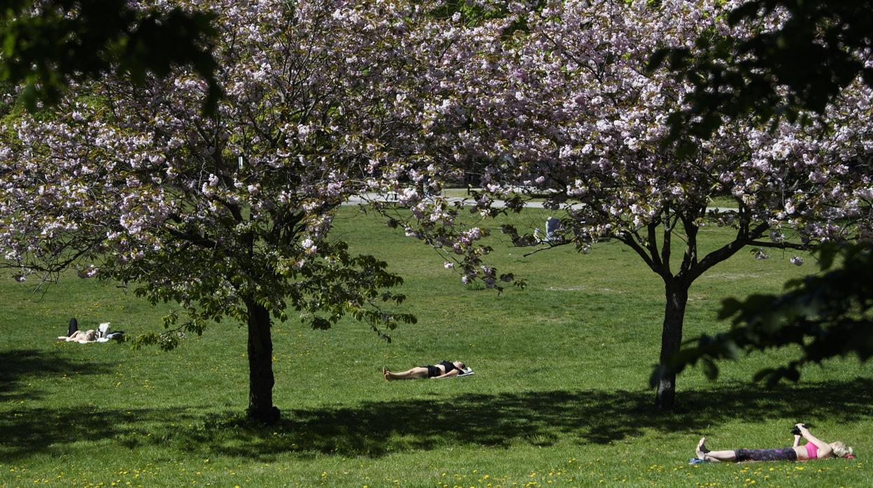 Varias personas toman el sol en un parque en Estocolmo