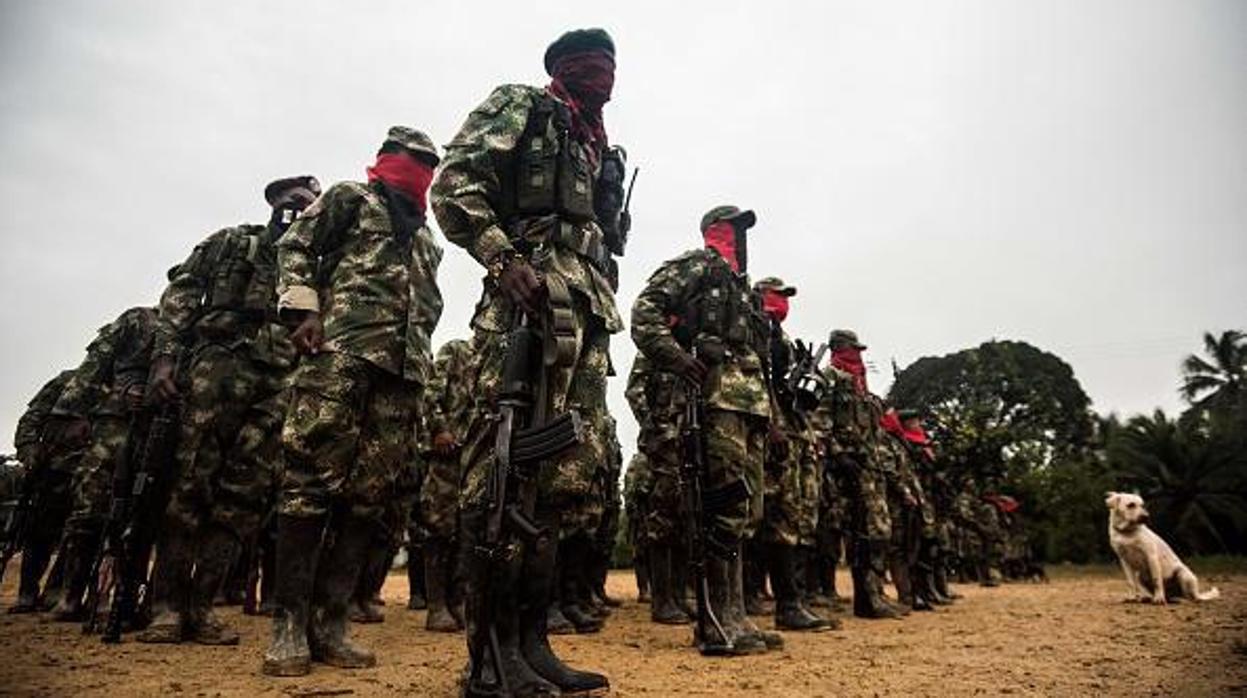 Miembros del Ejército de Liberación Nacional (ELN) hacen su formación en un campamento a las orillas del río San Juan