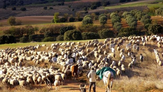 Caminos de la biodiversidad