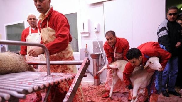 Los musulmanes de Bélgica piden al Tribunal de Estrasburgo que permita sacrificios rituales de animales