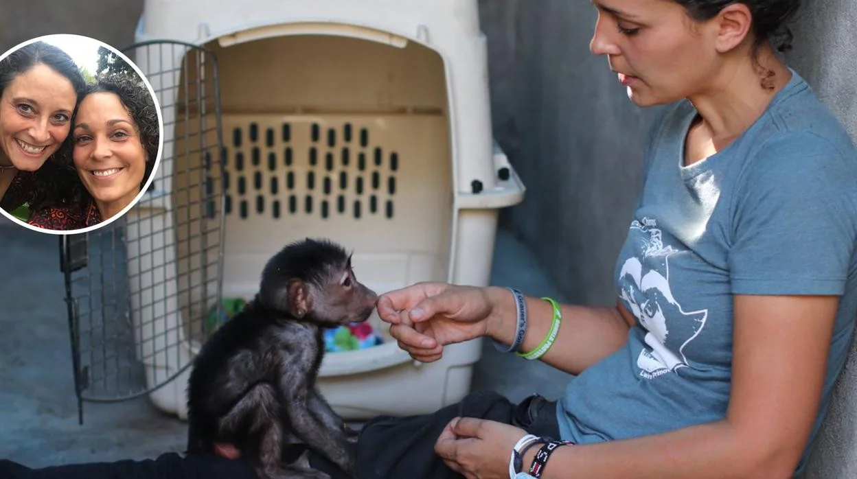Lorena Aguirre (izquierda) e Itsaso Vélez (derecha, con la cría) rescatan a chimpancés huérfanos
