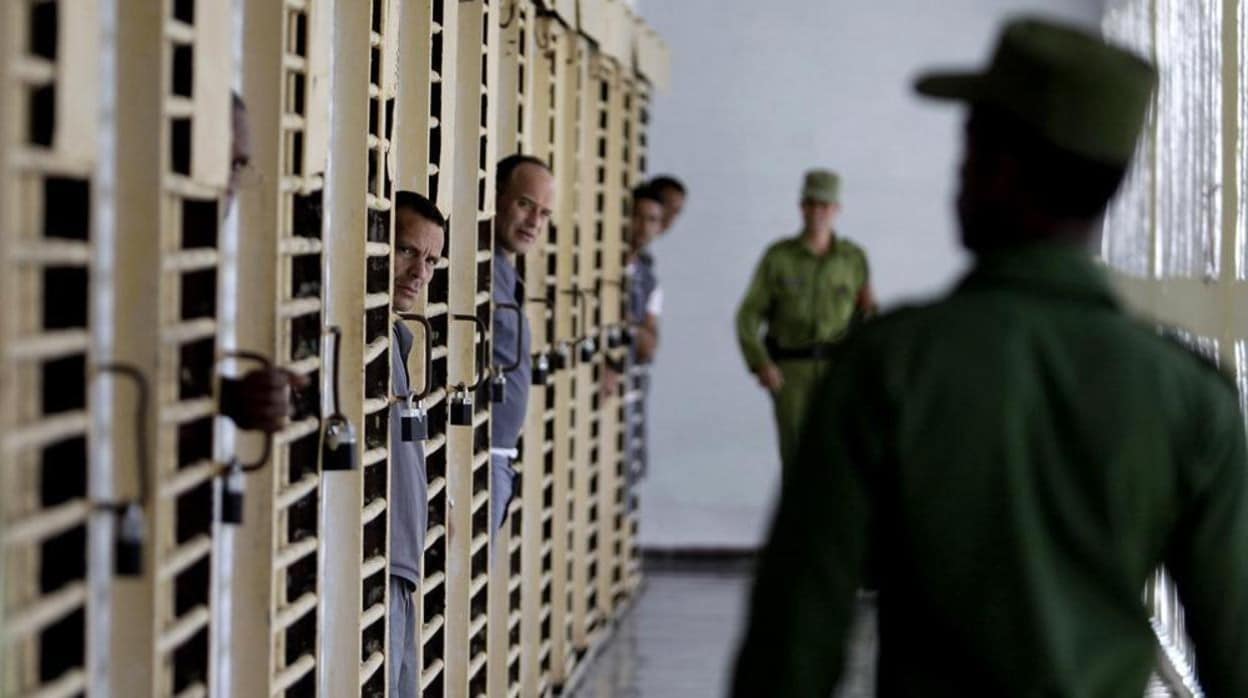 Presentan ante la ONU un informe con más de cien casos de tortura en Cuba