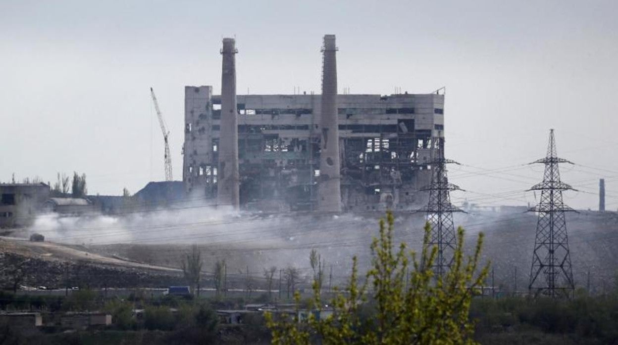 Imagen de la planta hace unos días