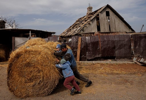 El granjero Ivan Bonderenko y sus nietos Marat y Renat empujan un fardo de heno en el pueblo de Yakovlivka, en las afueras de Járkov, tras un bombardeo aéreo ruso