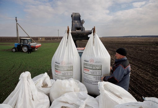 Un trabajador agrícola descarga fertilizante fabricado en Ucrania para abonar un campo de trigo cerca de la aldea de Yakovlivka, en el este del país, tras un bombardeo ruso