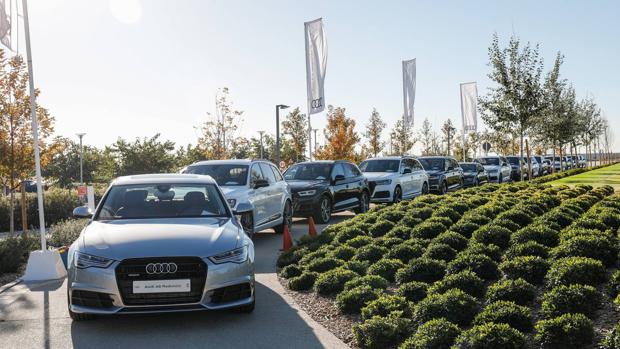 Los jugadores del Real Madrid de Baloncesto van en Audi