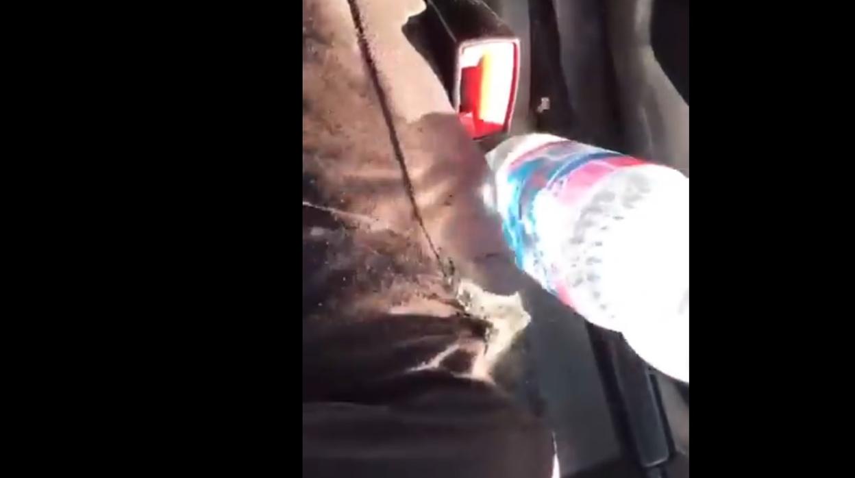 La Policía advierte del grave riesgo de olvidar una botella de agua en el coche