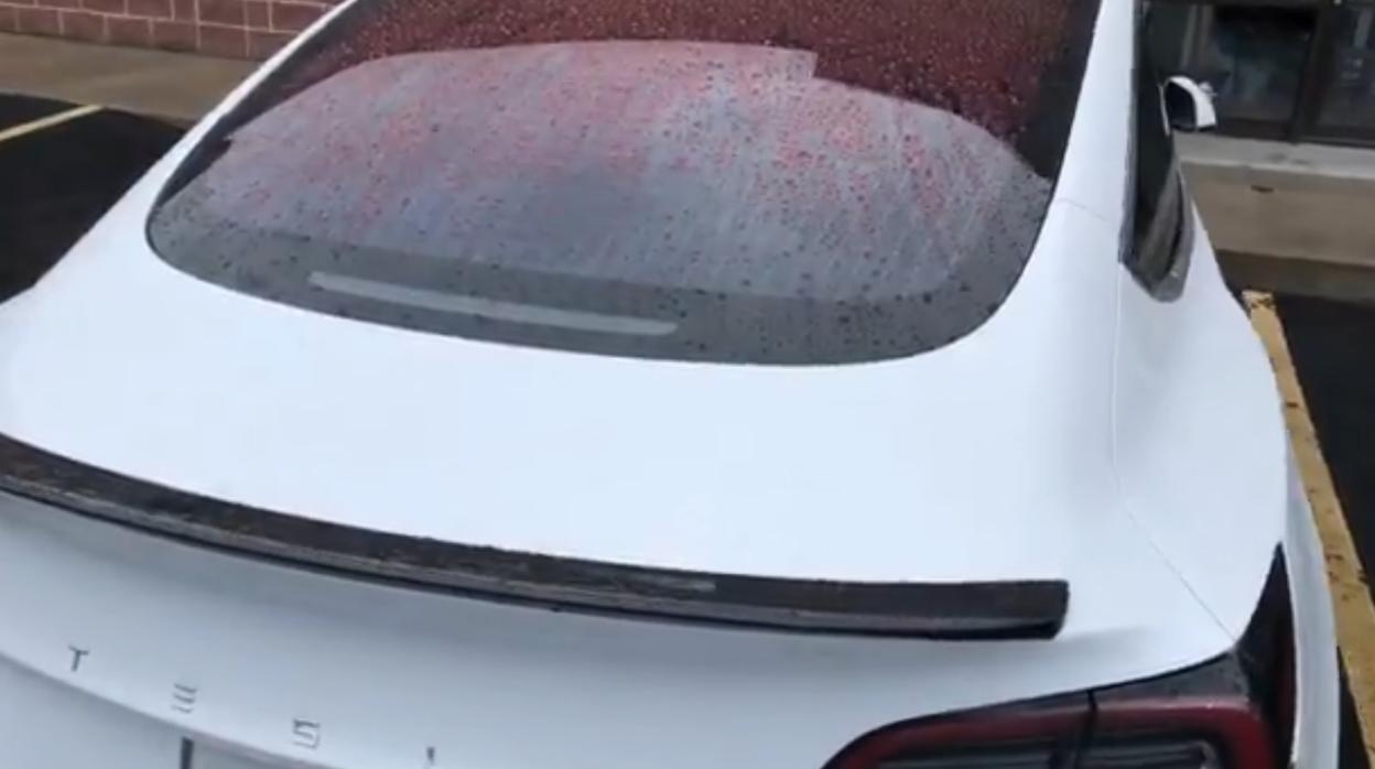 «Nadie en Tesla ha visto llover antes»: un vídeo viral muestra un fallo en el diseño del coche