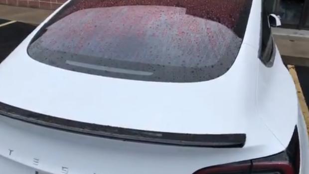 «Nadie en Tesla ha visto llover antes»: un vídeo viral muestra un fallo en el diseño del coche