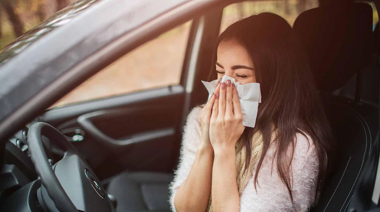 Estornudos, ojos llorosos, moqueo… Así afecta la alergia primaveral a la conducción