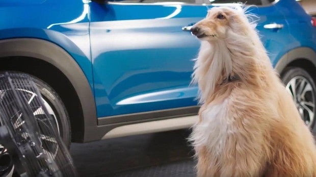 Consejos para reducir el calor del coche sin poner el aire acondicionado