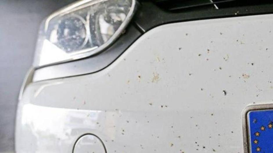 Cómo limpiar los insectos que se quedan pegados a la carrocería del coche