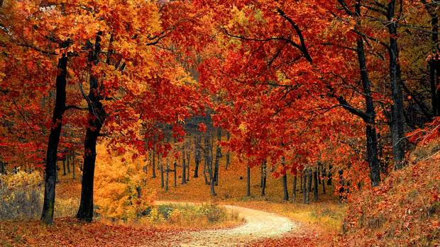 Menos horas de luz y fenómenos metereológicos adversos: adapta tu conducción a la llegada del otoño