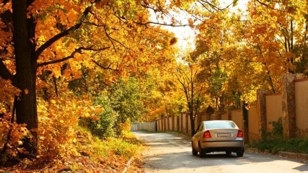 Cómo tenemos que adaptar nuestra conducción a la llegada del otoño