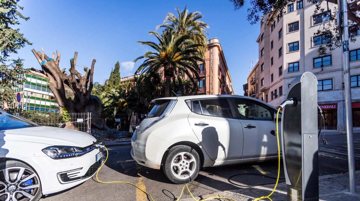 Vehículos eléctricos en proceso de recarga en Palma de Mallorca