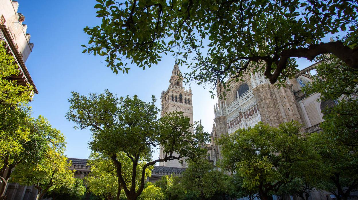 Vista de La Giralda de Sevilla, en 1983