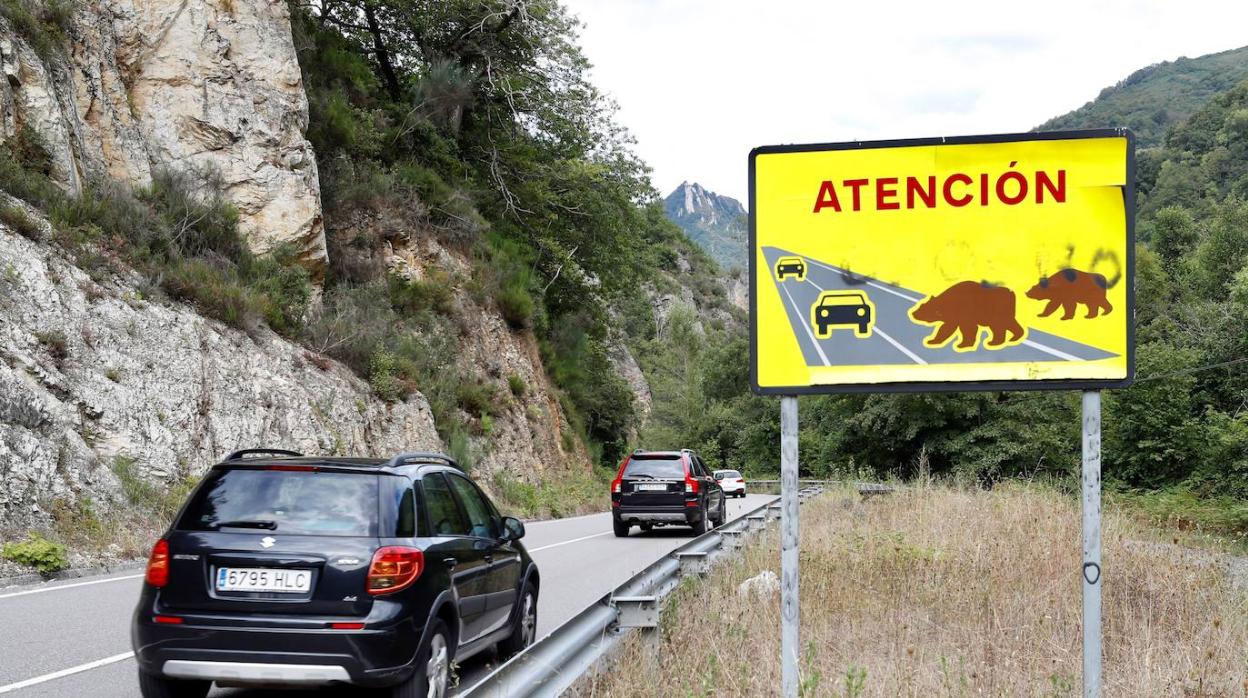 Señal de aviso de riesgo de animales en una carretera secundaria