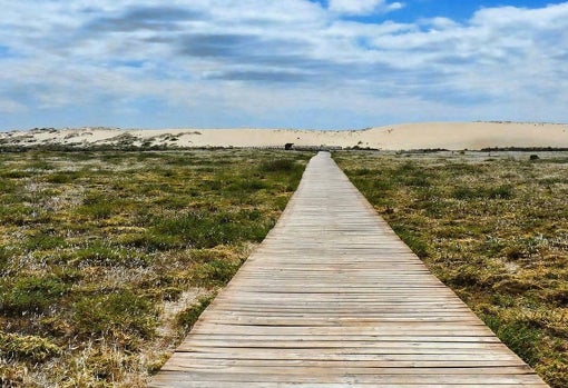 Parques naturales a los que ir en autocaravana sin salir de España