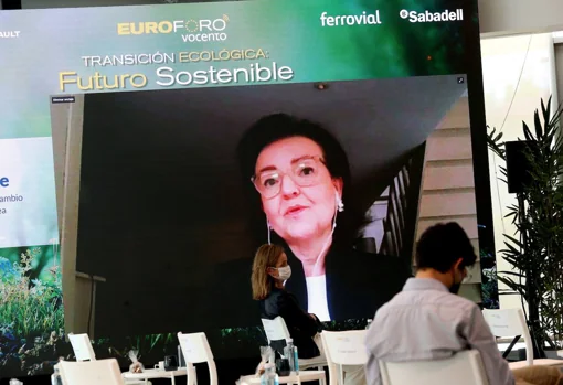 Clara de la Torre, directora general adjunta de Cambio Climático de la Comisión Europea, que intervino por videoconferencia