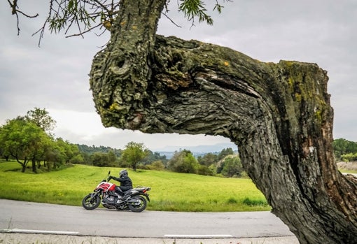 Bonito entorno para transitar con la Honda