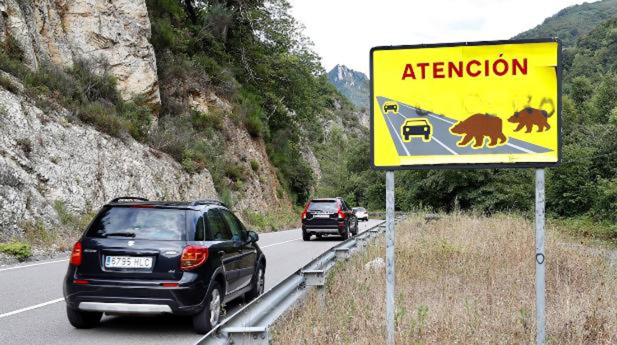 Señal de aviso de riesgo de animales en una carretera secundaria