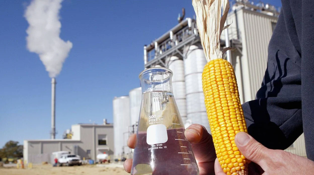Europa quema 10.000 toneladas de trigo al día en etanol