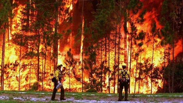 Incendio forestal