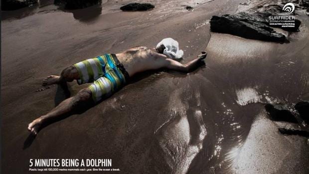 «Cinco minutos siendo un delfín»: la contaminación plástica mata a 100.000 mamíferos marinos cada año