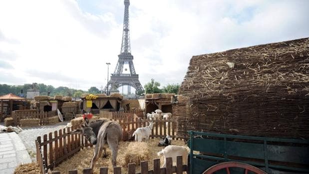 Un burro, varias cabras y gallinas y demás animales de granja a los pies de la Torre Eiffel