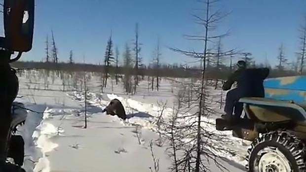 Ha ocurrido en un paraje de la tundra siberiana de la República de Sajá-Yakutia