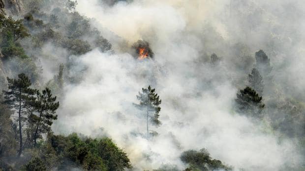 Los incendios asolan amplias zonas de Asturias y puntos de Cantabria, León y Galicia