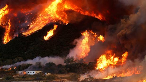 Las áreas quemadas han disminuido un 24% durante los últimos 18 años en todo el mundo