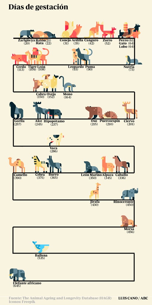 Los límites de la naturaleza para la reproducción de los mamíferos