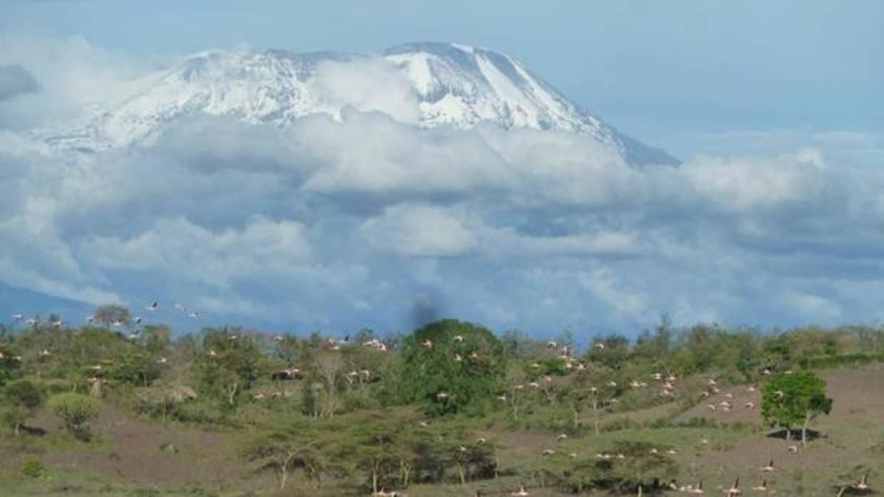 Parque Nacional Kilimanjaro (Tanzania)