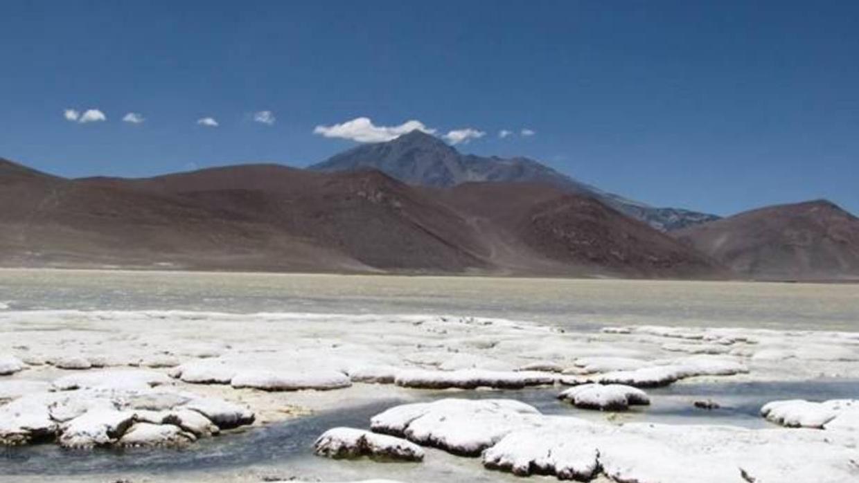 Los microorganismos son responsables de la precipitación de minerales en las lagunas andinas