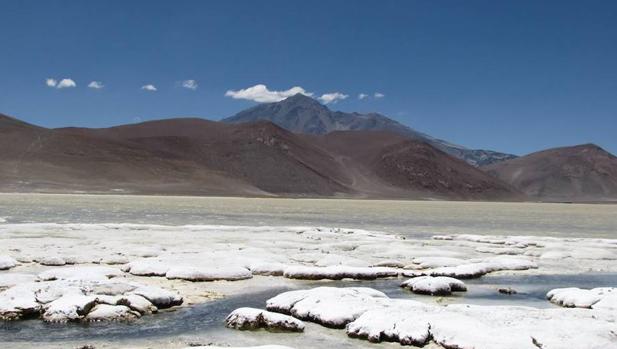 ¿Quién fija el carbono en uno de los ambientes más extremos de la Tierra?