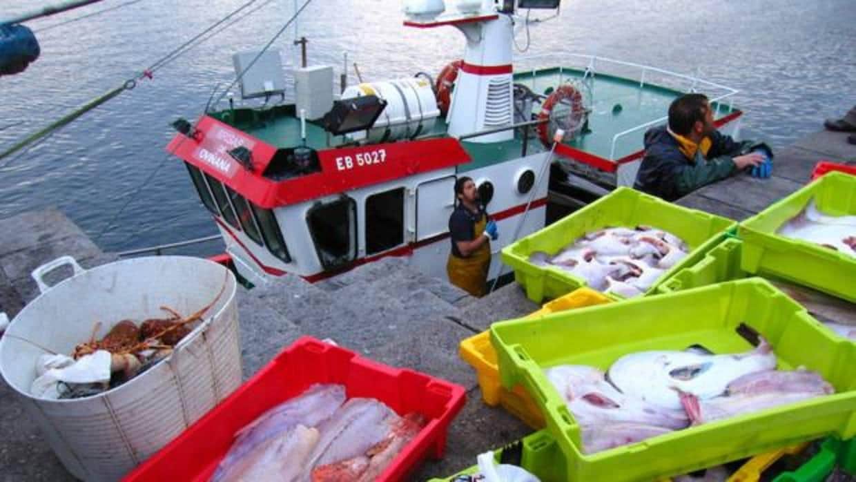 El Parlamento Europeo prohíbe de forma total y definitiva la pesca eléctrica en Europa
