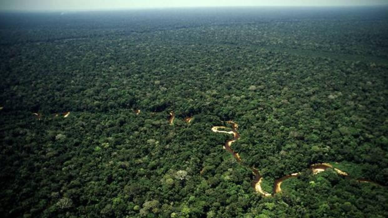 La minería ilegal se ha convertido en la mayor amenaza para la Amazonia peruana, denuncia WWF