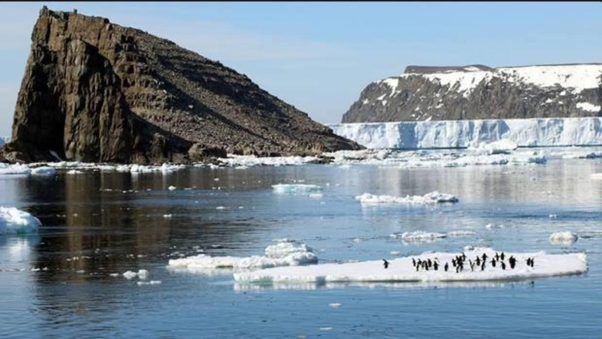 Descubren una «supercolonia» previamente desconocida de los pingüinos Adelia en la Península Antártica