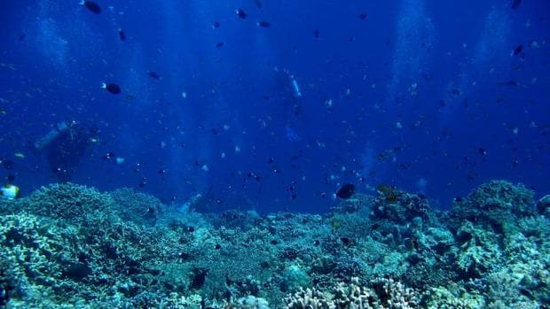 Una barrera invisible reduce a la mitad la absorción de CO2 por los océanos