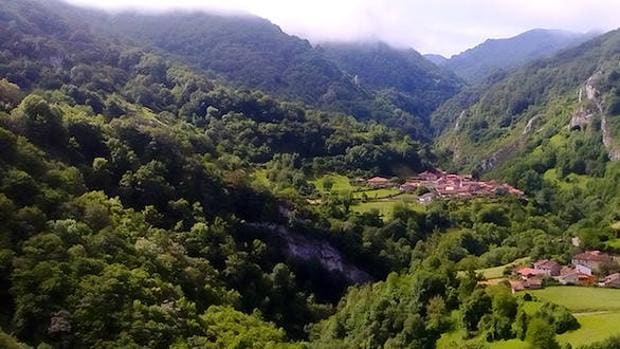 Ponga, en Asturias, declarada nueva Reserva de la Biosfera