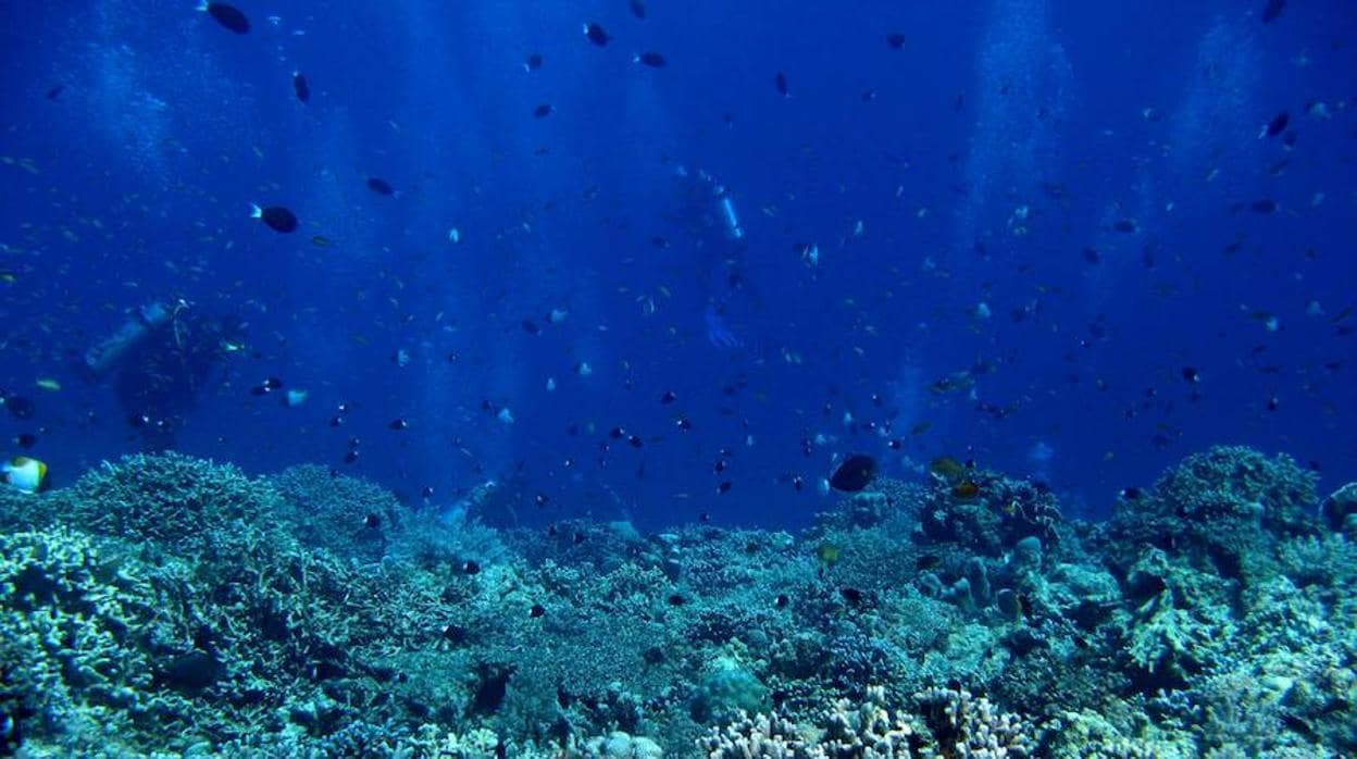 Más del 90% del calor por efecto invernadero se ha almacenado en los océanos