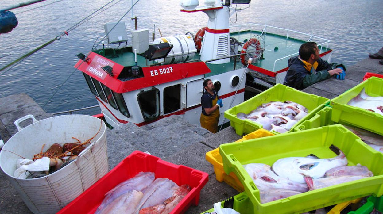 Reducir la pesca podría ser insuficiente para conservar el Mediterráneo si sube la temperatura