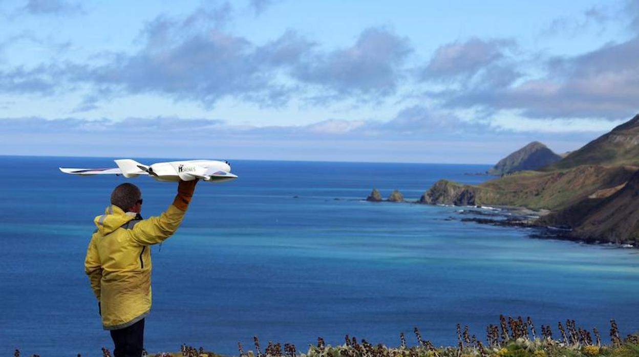 El vacío legal que existe sobre el uso de drones para la investigación de la vida silvestre