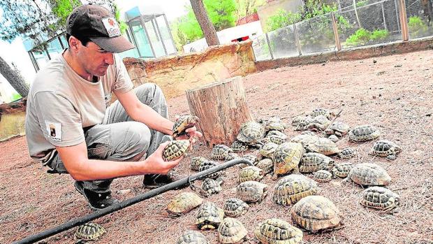 Los parques nacionales del norte de España son más biodiversos