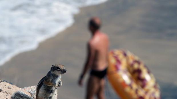 La subida del nivel del mar ayuda a construir islas de arrecifes de coral, como las Maldivas