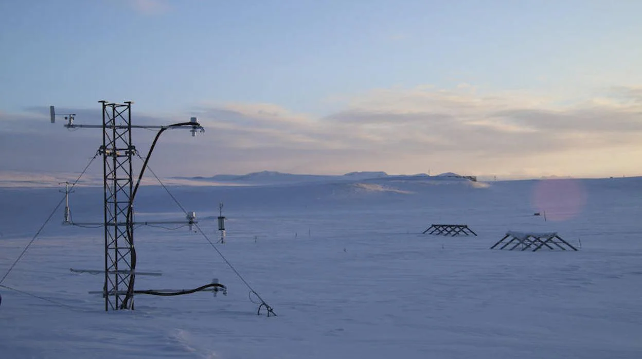 ¿Qué función cumplen los desconocidos y valiosos tipos de humedales que alberga el Ártico?