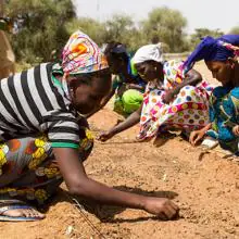 Mujeres plantando semillas en África