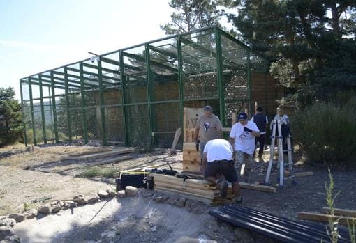 Construcción de un jaula de aclimatación para los buitres negros del proyecto Monachus