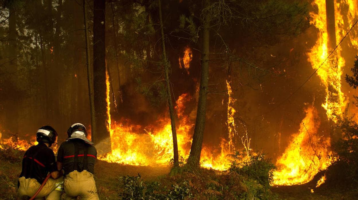 Ecologista en Acción pide a la sociedad que «reproche» más las conductas negligentes y dolosas que originan los incendios